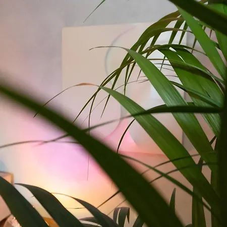 Divine View 公寓 罗马
