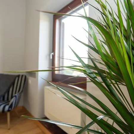 Divine View Apartman