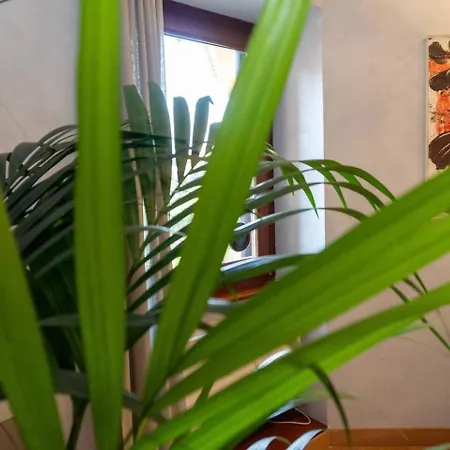 Appartement Divine View Rome